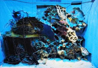 Aquarium2011_3_1