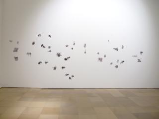 Vogelfelsen 38 Teile, 350 x 90 cm, 2010 BBK München